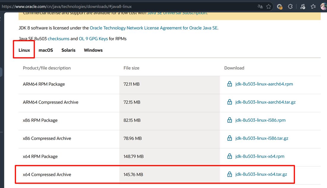 Oracle 官网 JDK8 下载页,Linux 页签里的 x64 Compressed Archive
