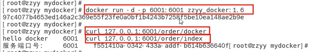docker run 起容器后 curl 127.0.0.1:6001/order/docker 返回 hello docker