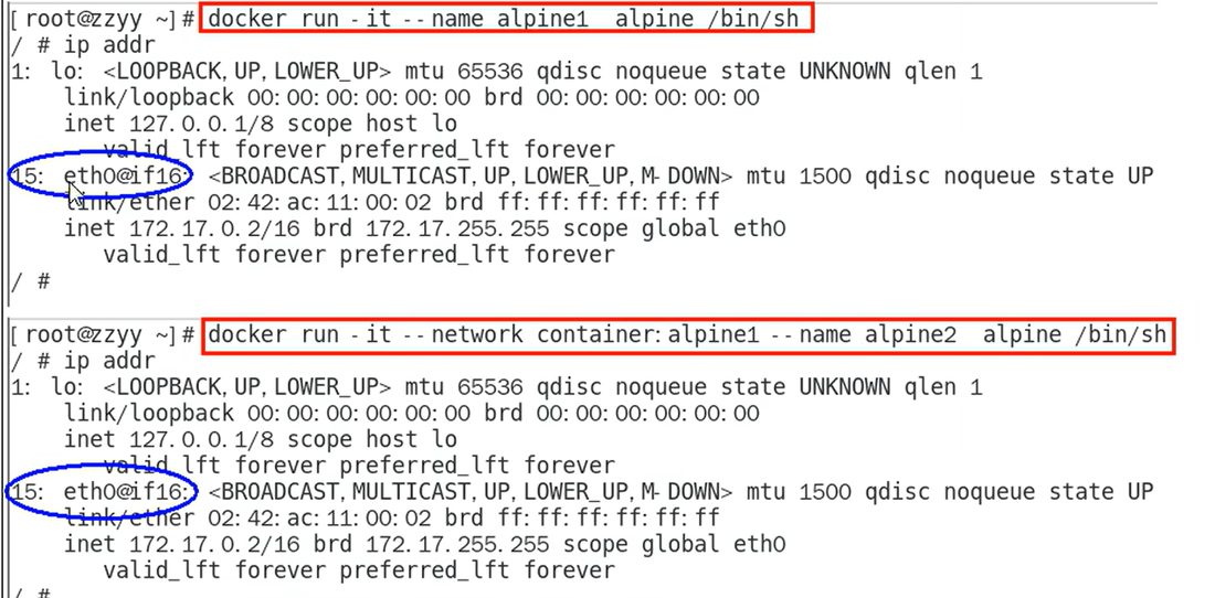 alpine1 和 alpine2 里的 eth0@if16 和 IP 完全相同,蓝圈标出的就是同一个网卡