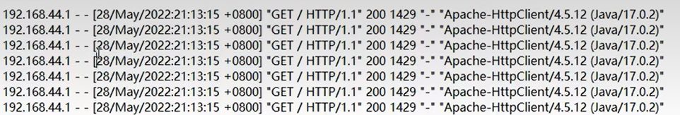 access.log 里的几行记录