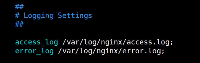 nginx.conf 里默认的 Logging Settings