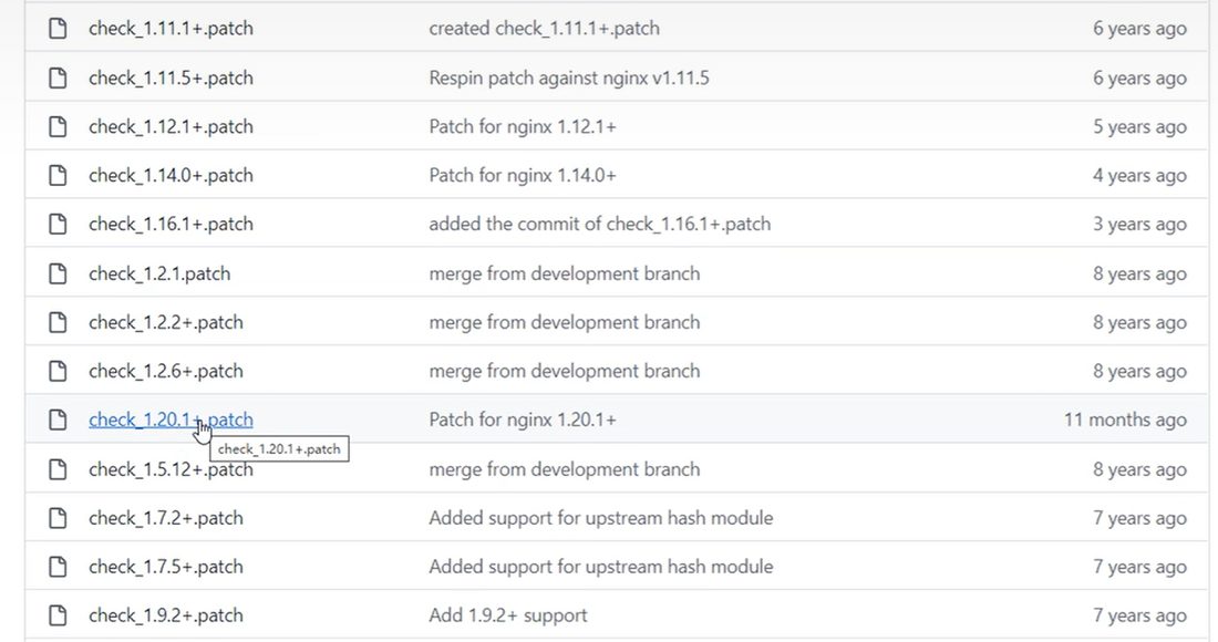 patch 文件列表,要挑和 nginx 版本对应的那个
