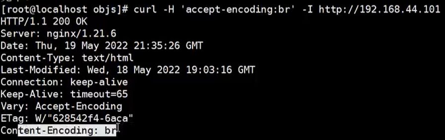 curl 带 accept-encoding:br 请求，响应头里出现 Content-Encoding: br