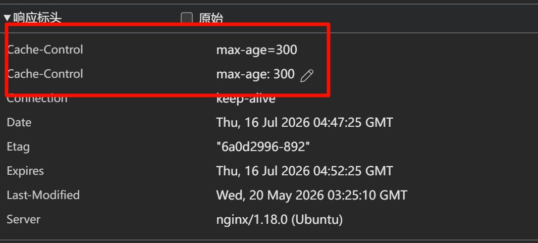 响应标头里同时出现 Cache-Control: max-age=300 和 Cache-Control: max-age: 300,被红框框出