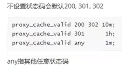 proxy_cache_valid 按状态码分别配置过期时间,不设置状态码默认 200、301、302