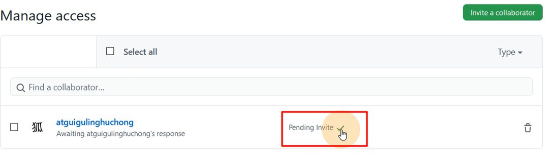 邀请发出去之后,在 Manage access 里能看到被邀请人处于 Pending Invite 状态