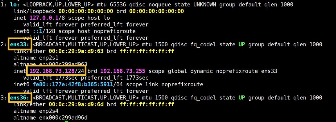 ip a 里 ens33 是 192.168.73.128,ens36 只有 MAC 没有 IP
