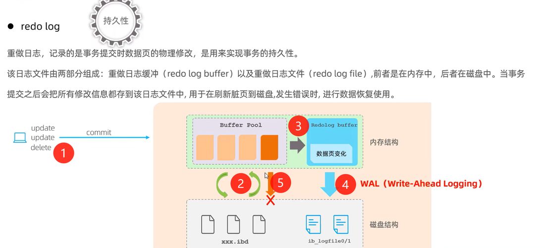 redo log 的原理,改的是 Buffer Pool,redo log buffer 先落盘,走 WAL