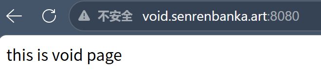 浏览器访问 void.senrenbanka.art:8080 显示 this is void page