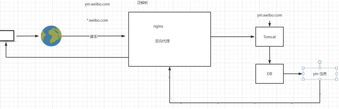 泛解析到 Nginx,再反向代理到 Tomcat 查库