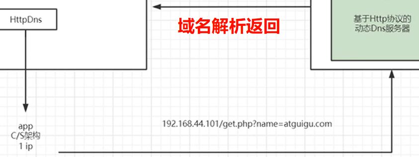 APP 用 HTTP 请求走 DNS 服务器拿 IP