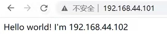 访问 101 显示的是 102 上的 Hello world