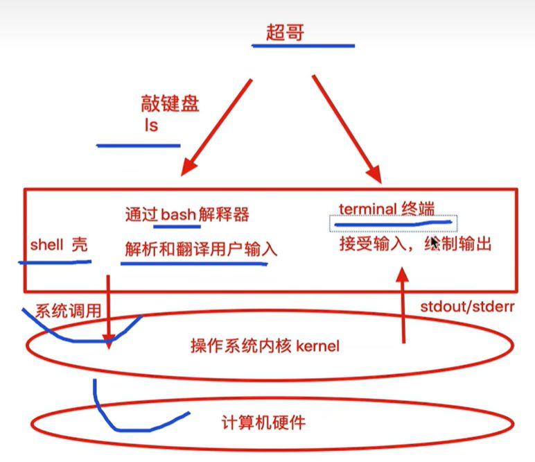 敲下 ls 之后,命令怎么经 bash 解释器、系统调用走到内核,结果再从终端输出