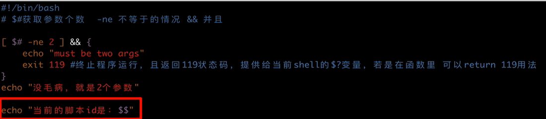 脚本末尾加上 echo
