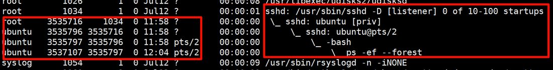 ps -ef --forest 里的父进程链:sshd → sshd: ubuntu → -bash → ps -ef --forest