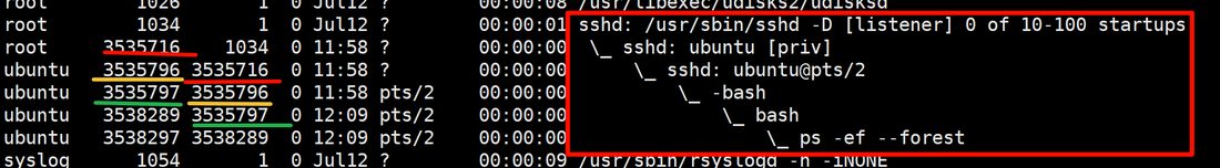 再敲一个 bash 之后,进程树上多出父子两层 bash,红黄绿线标出了 PID 和 PPID 的对应关系