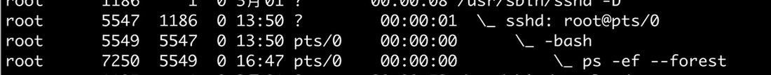 在当前 shell 里 ps -ef --forest，-bash 下面直接就是 ps，没有多出一层 bash