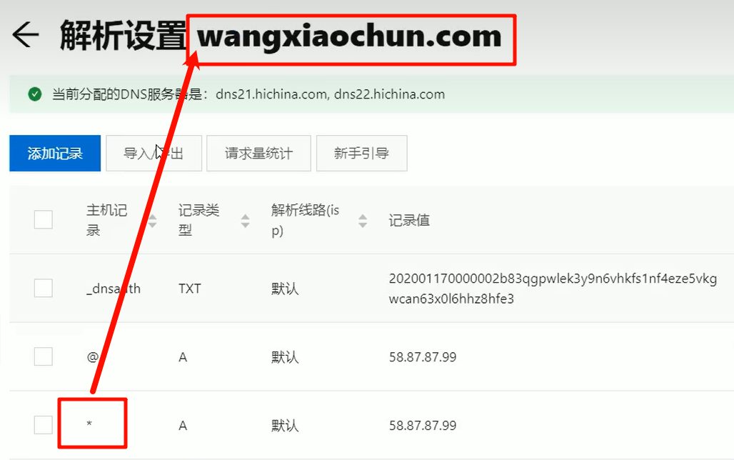 解析记录列表里红框圈出的 * 泛解析