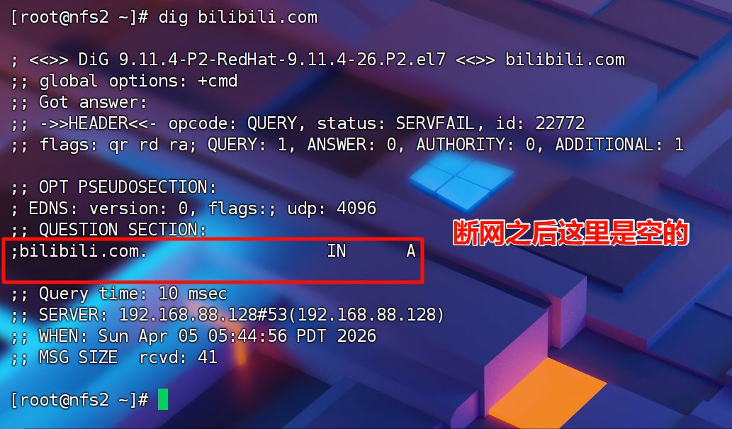 断网之后 dig 看不到记录，这里是空的