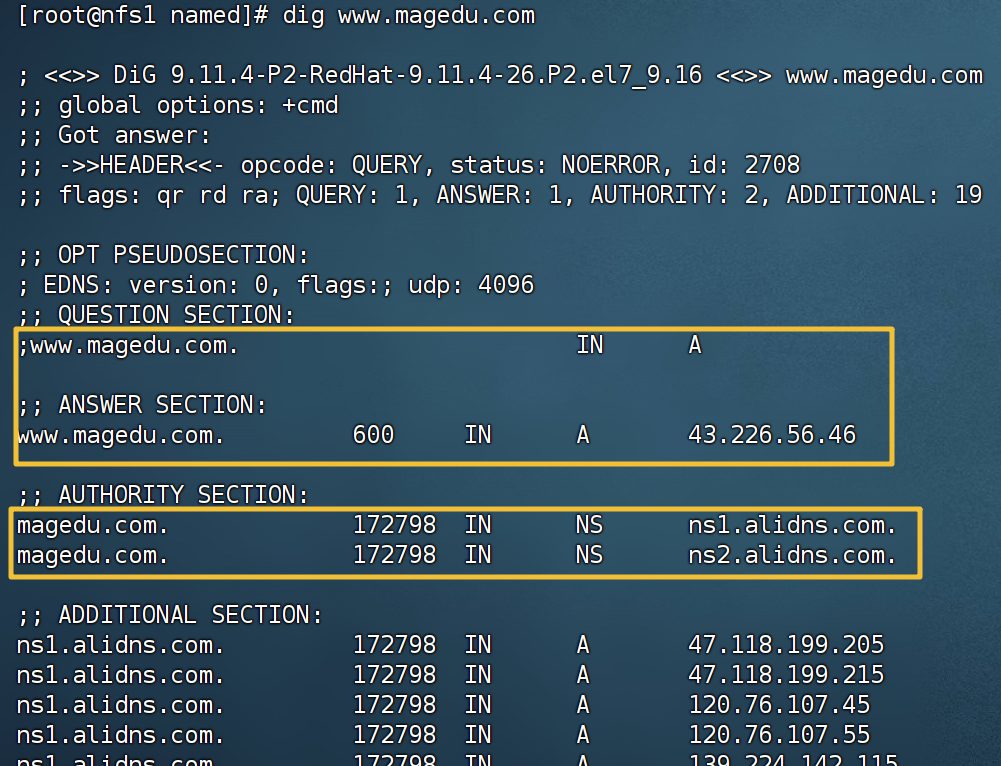 dig 的完整输出，能看到 ANSWER 段和 AUTHORITY 段的 NS