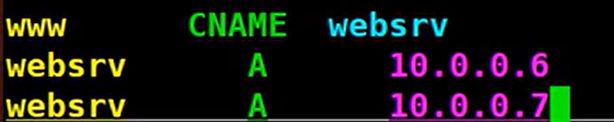 CNAME 记录 www 指向 websrv，websrv 有两个 A 记录
