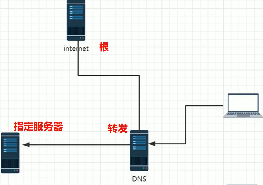 DNS 转发的示意图，根、指定服务器、转发、DNS